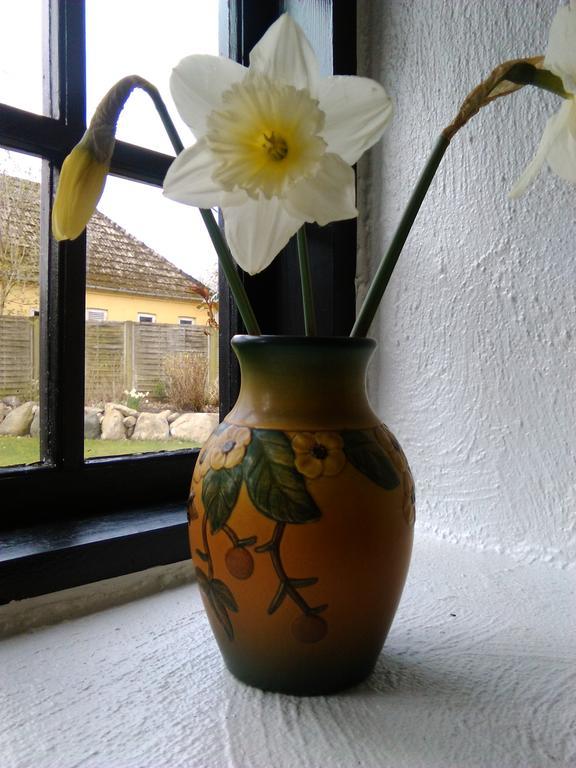 Dåstrup Bed&Breakfast Viby Exteriör bild